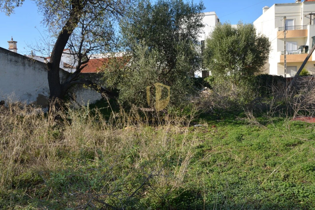 Terreno para Venda em Moncarapacho e Fuseta Foto 41