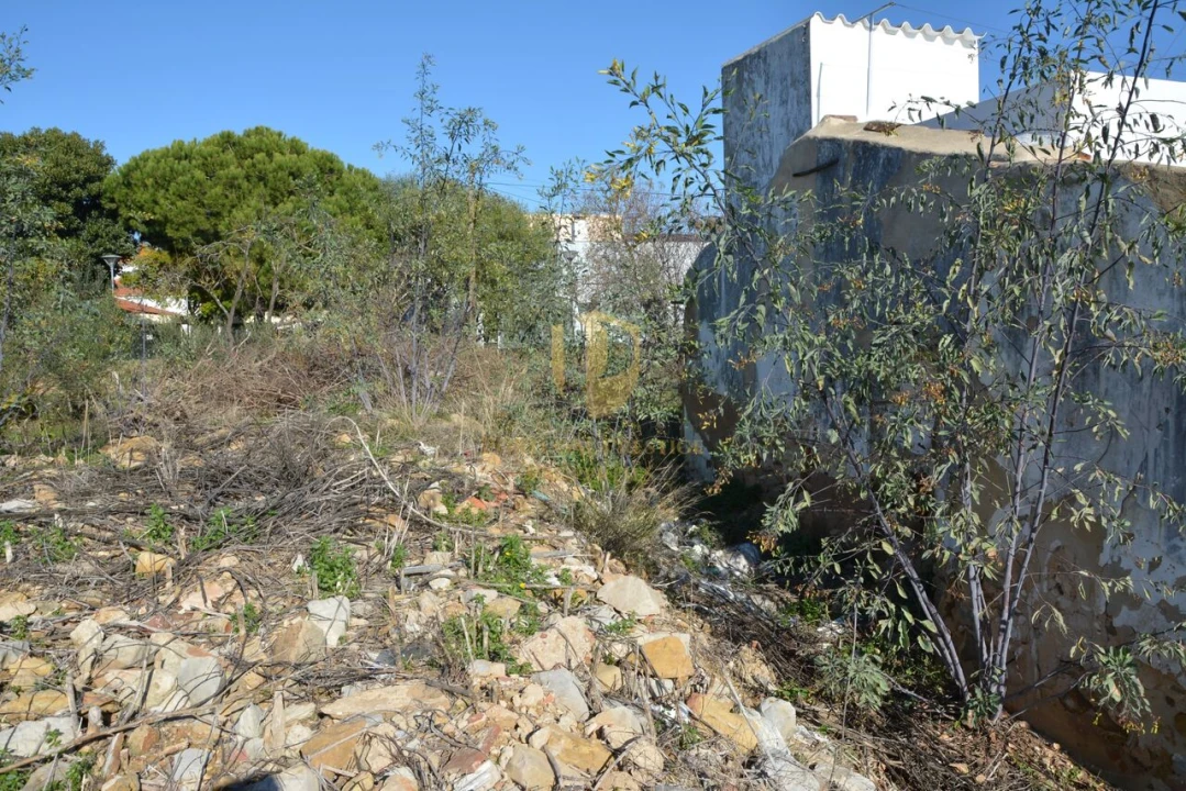Terreno para Venda em Moncarapacho e Fuseta Foto 52