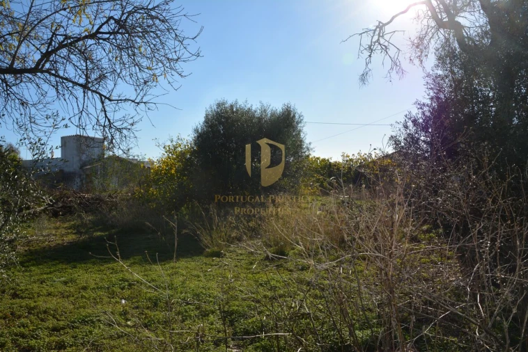 Terreno para Venda em Moncarapacho e Fuseta Foto 4