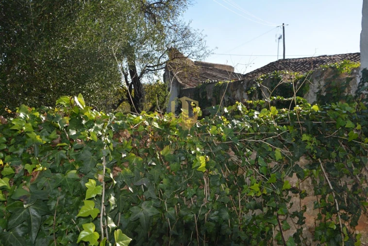 Terreno para Venda em Moncarapacho e Fuseta Foto 5