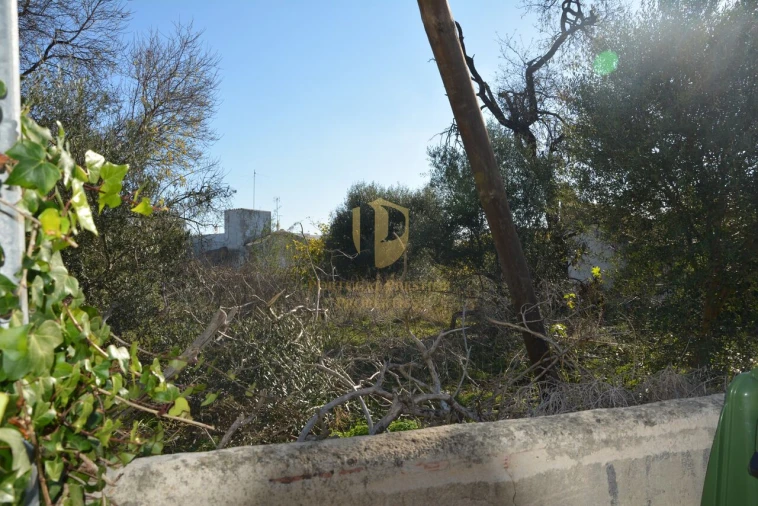 Terreno para Venda em Moncarapacho e Fuseta Foto 8