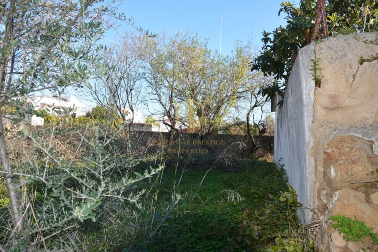 Terreno para Venda em Moncarapacho e Fuseta Foto 11