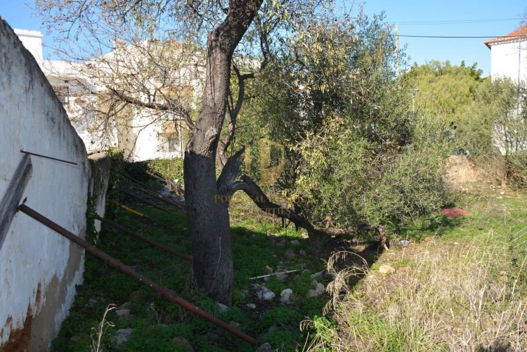 Terreno para Venda em Moncarapacho e Fuseta Foto 12