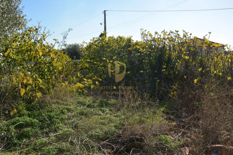 Terreno para Venda em Moncarapacho e Fuseta Foto 21