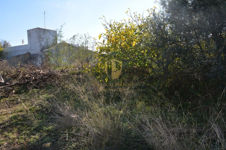 Terreno para Venda em Moncarapacho e Fuseta Foto 23