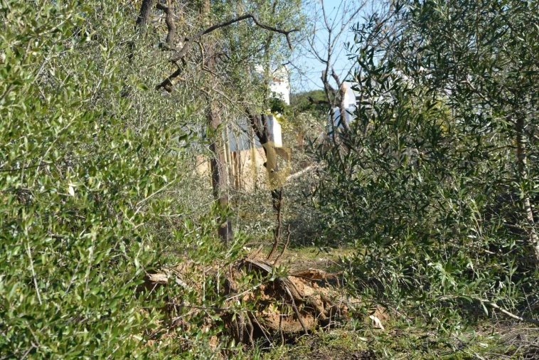 Terreno para Venda em Moncarapacho e Fuseta Foto 26
