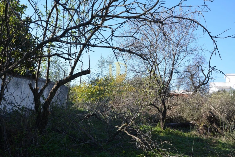 Terreno para Venda em Moncarapacho e Fuseta Foto 33