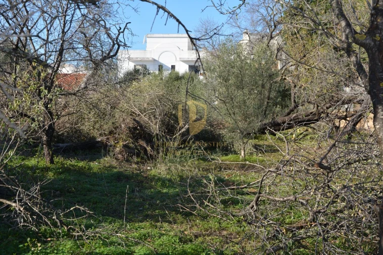 Terreno para Venda em Moncarapacho e Fuseta Foto 34