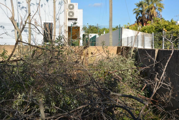 Terreno para Venda em Moncarapacho e Fuseta Foto 42