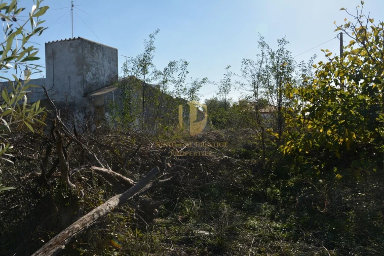 Terreno para Venda em Moncarapacho e Fuseta Foto 51