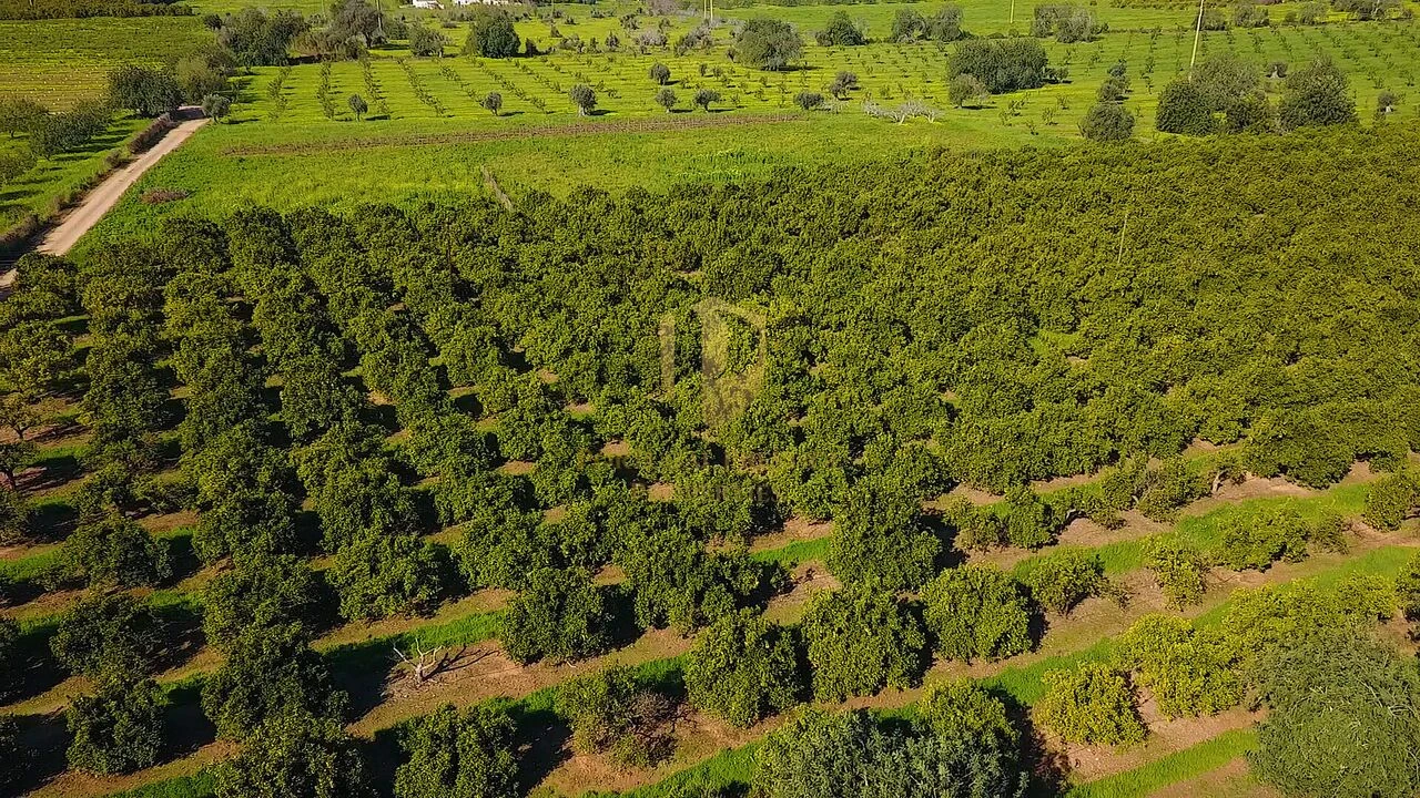 Quinta T6 para Venda em Tavira (Santa Maria e Santiago) Foto 43