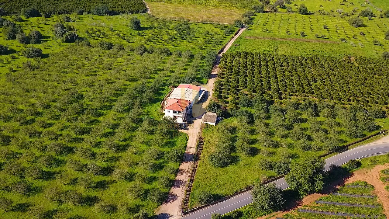 Quinta T6 para Venda em Tavira (Santa Maria e Santiago) Foto 44