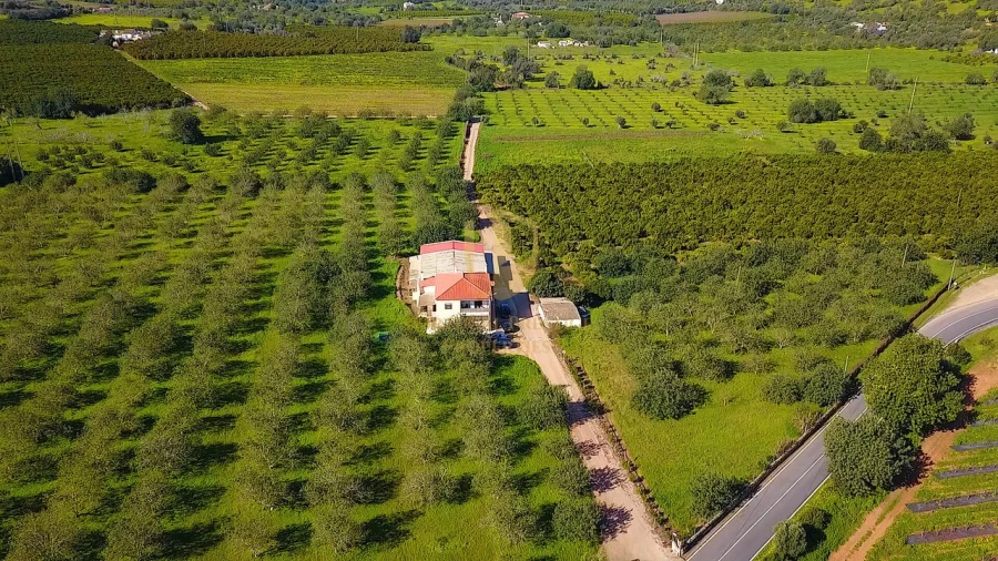 Quinta T6 para Venda em Tavira (Santa Maria e Santiago) Foto 40