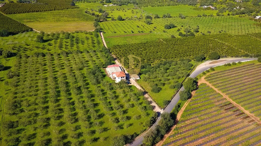 Quinta T6 para Venda em Tavira (Santa Maria e Santiago) Foto 42