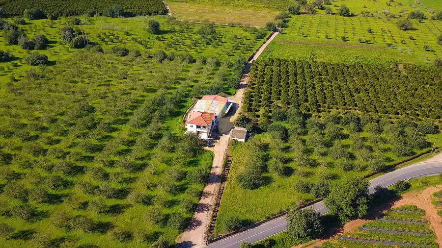 Quinta T6 para Venda em Tavira (Santa Maria e Santiago) Foto 44