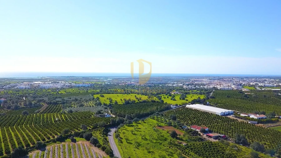 Quinta T6 para Venda em Tavira (Santa Maria e Santiago) Foto 45