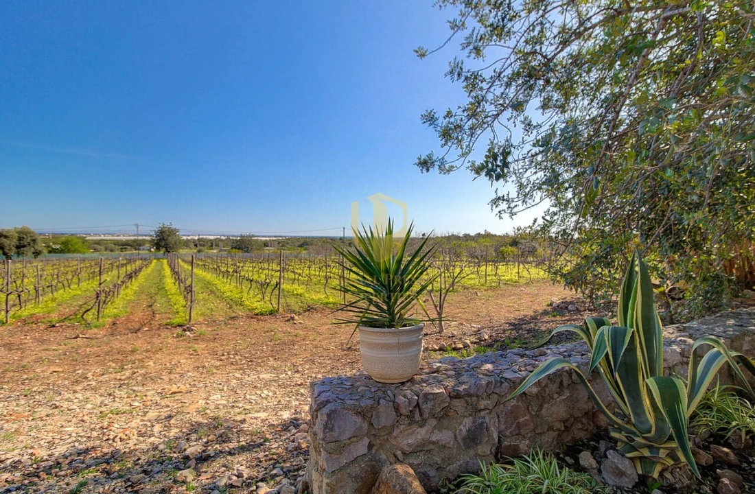 Quinta T5 para Venda em Luz de Tavira e Santo Estêvão Foto 47