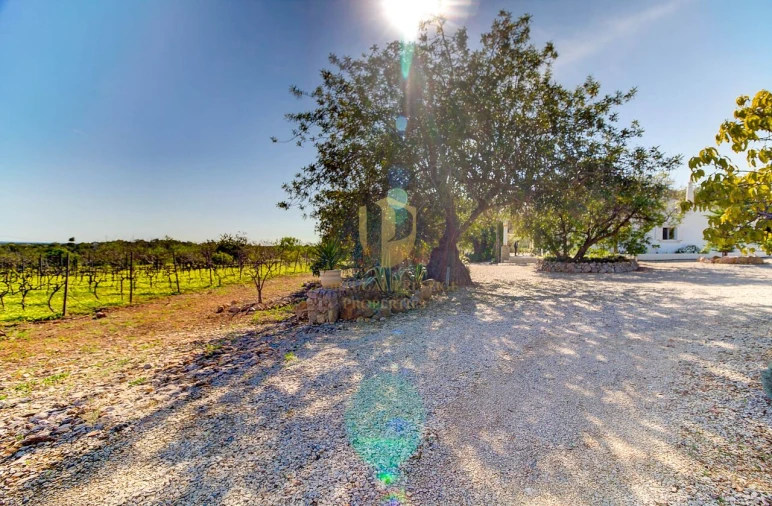 Quinta T5 para Venda em Luz de Tavira e Santo Estêvão Foto 45