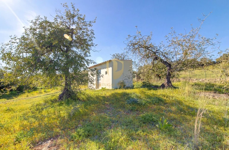 Quinta T5 para Venda em Luz de Tavira e Santo Estêvão Foto 49