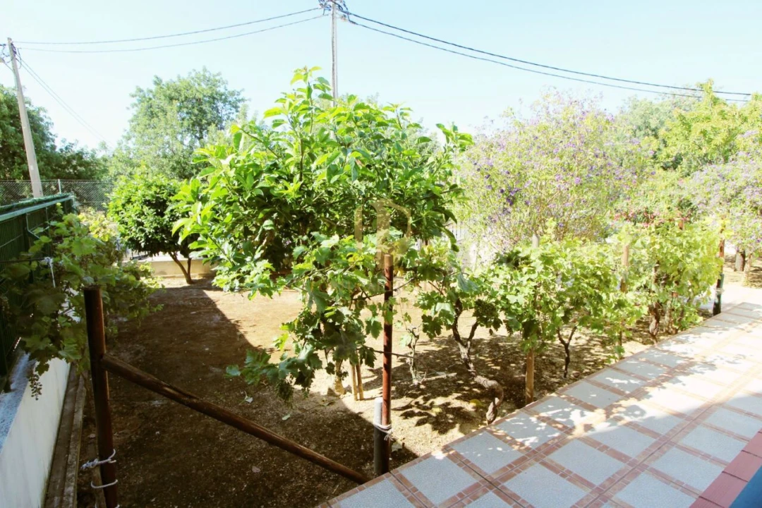 Moradia T3 para Venda em Tavira (Santa Maria e Santiago) Foto 19