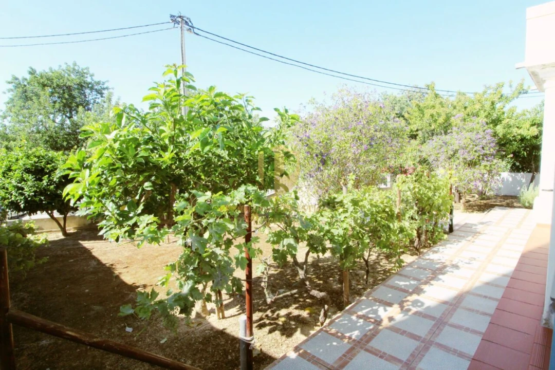 Moradia T3 para Venda em Tavira (Santa Maria e Santiago) Foto 20