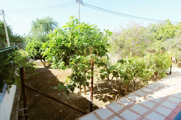 Moradia T3 para Venda em Tavira (Santa Maria e Santiago) Foto 19