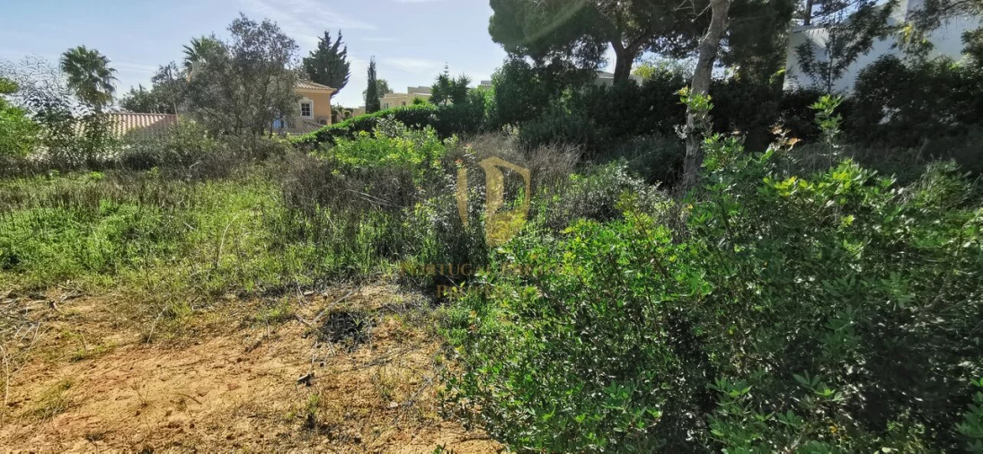 Terreno para Venda em Lagoa e Carvoeiro Foto 4