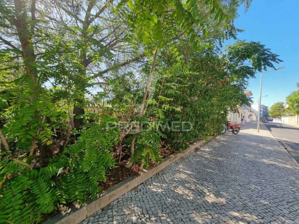 Terreno para Venda em Loule (São Clemente) Foto 23