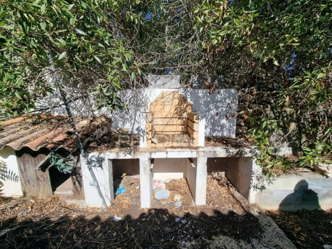 Terreno para Venda em Loule (São Clemente) Foto 6