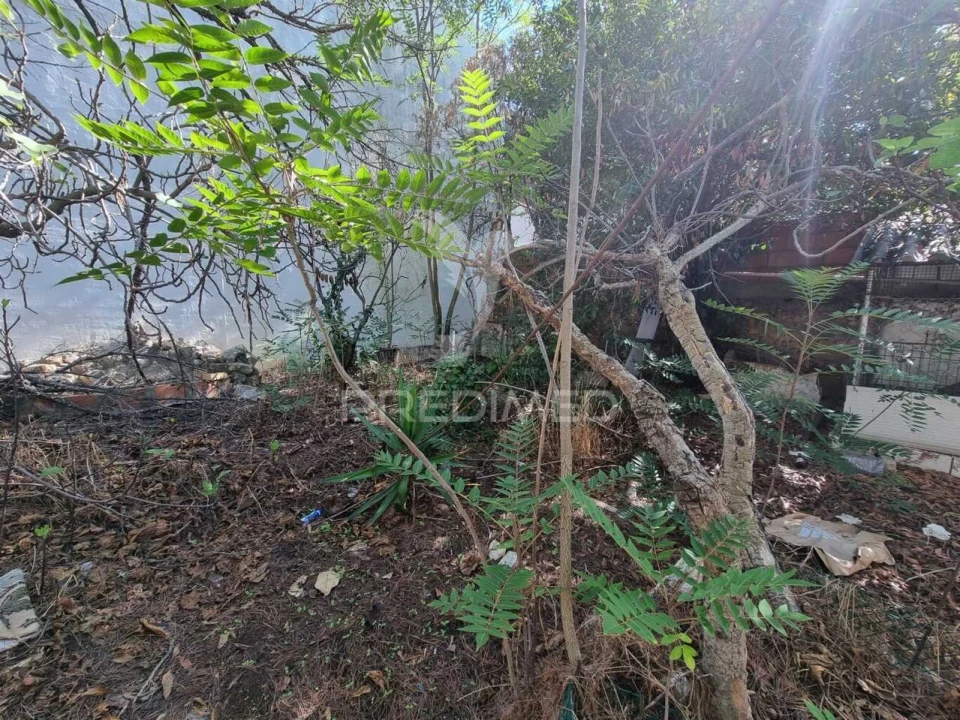 Terreno para Venda em Loule (São Clemente) Foto 19