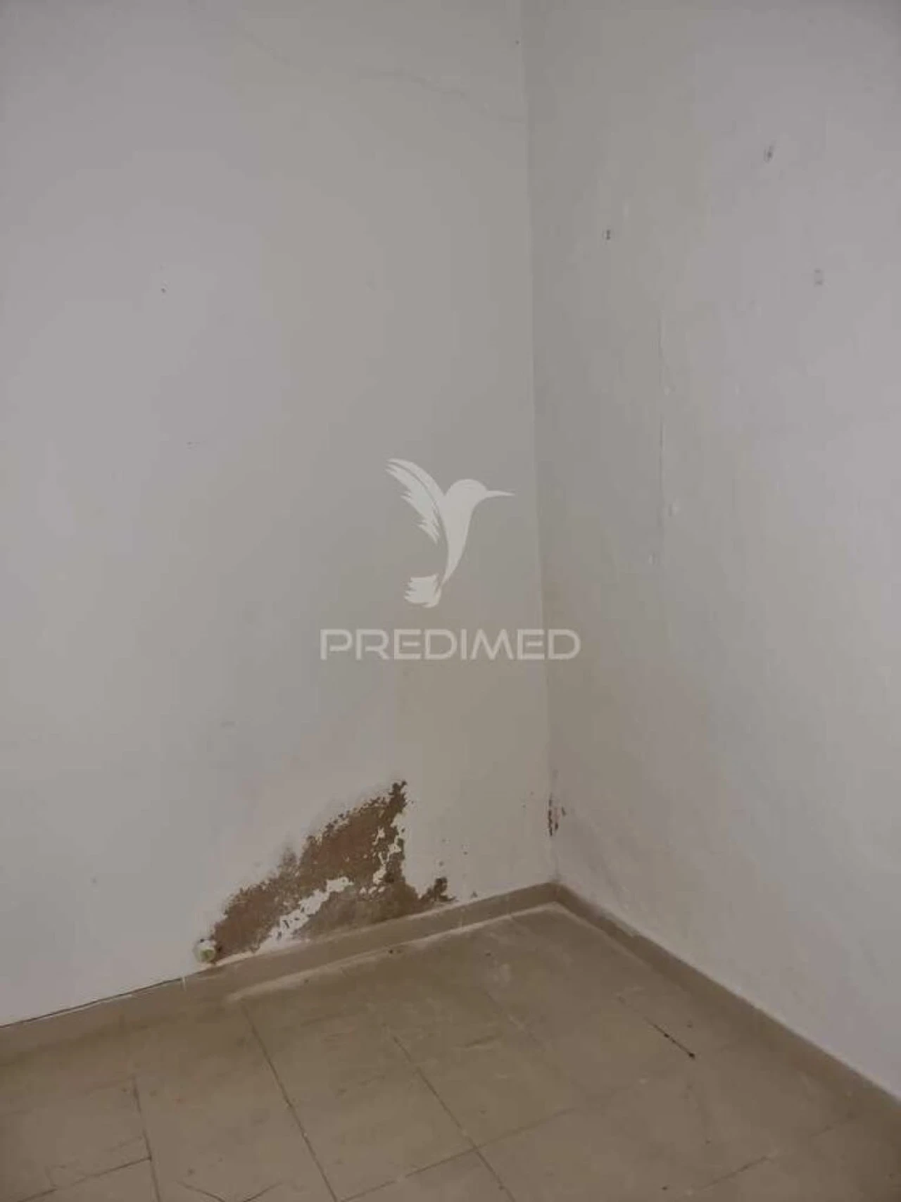 Terreno para Venda em Loule (São Clemente) Foto 13