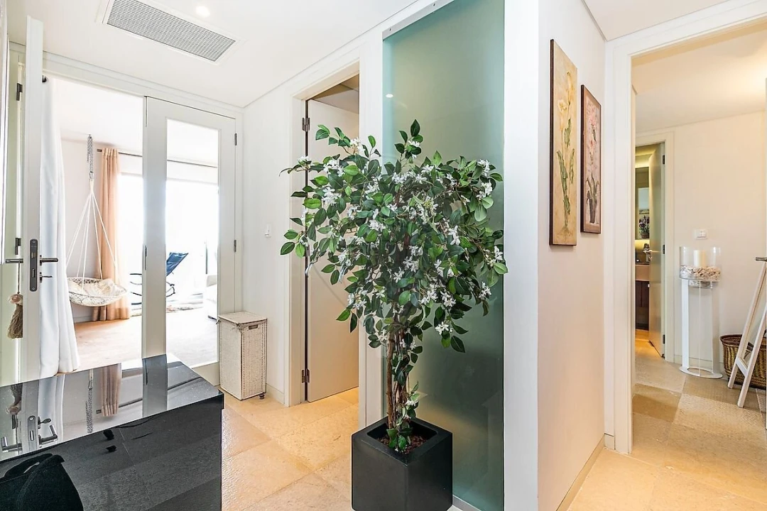 Apartamento T1 para Venda em Carvalhal Foto 20