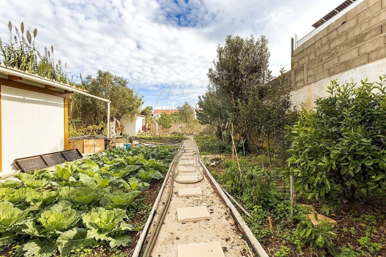 Moradia T3 para Venda em Santa Maria e São Miguel, São Martinho, São Pedro Penaferrim Foto 26