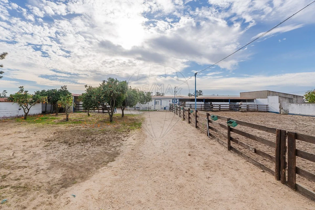 Terreno para Venda em Salvaterra de Magos e Foros de Salvaterra Foto 40