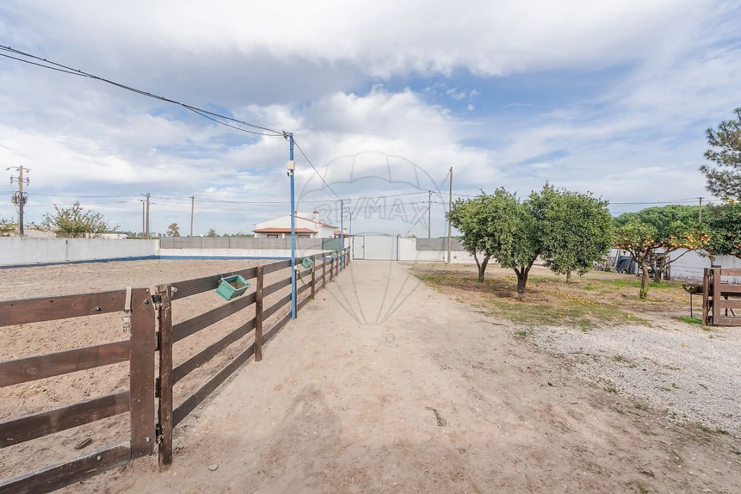 Terreno para Venda em Salvaterra de Magos e Foros de Salvaterra Foto 43