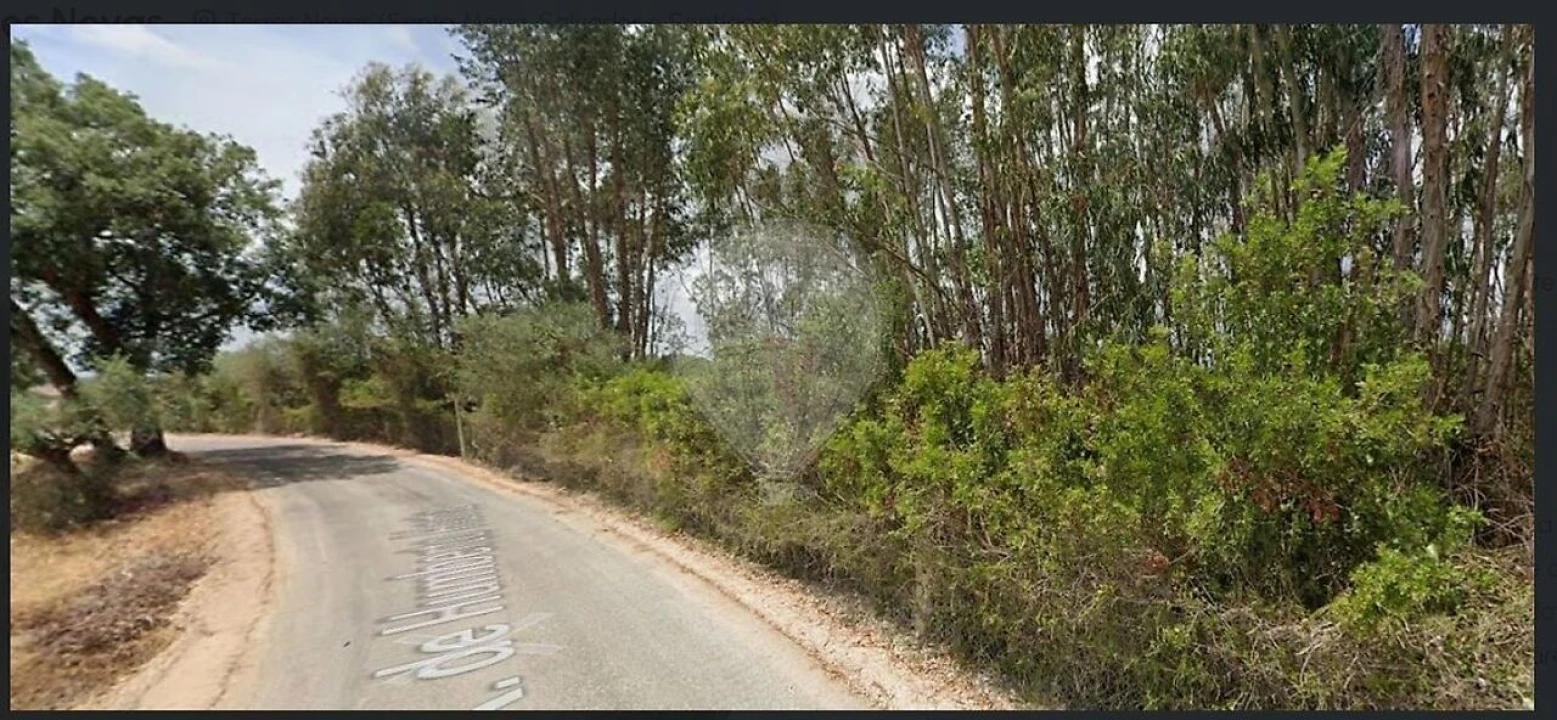 Terreno para Venda em Torres Novas (Santa Maria, Salvador e Santiago) Foto 1