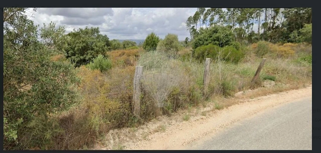 Terreno para Venda em Torres Novas (Santa Maria, Salvador e Santiago) Foto 4