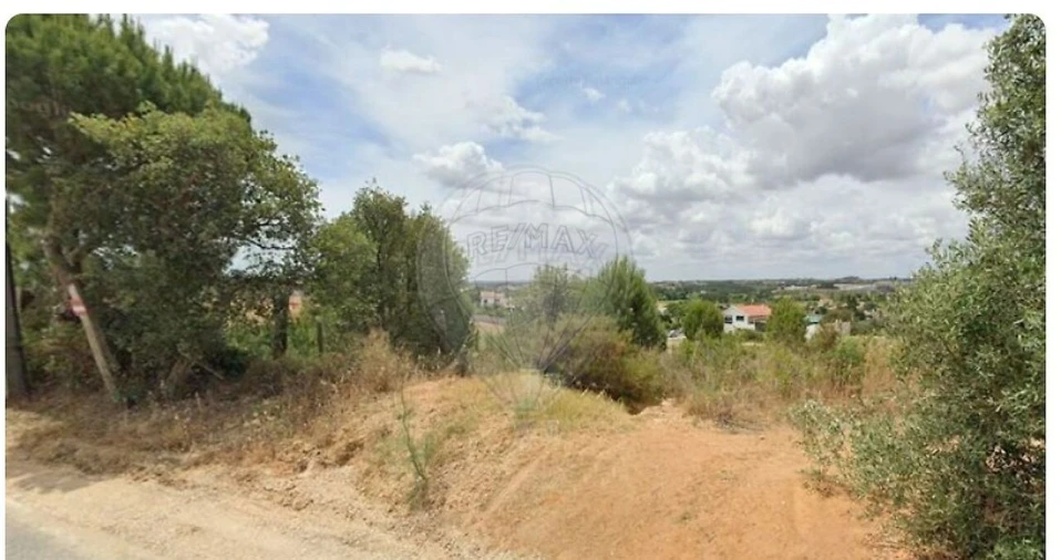 Terreno para Venda em Torres Novas (Santa Maria, Salvador e Santiago) Foto 2