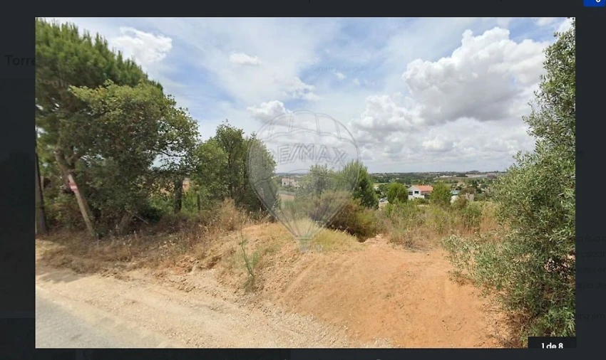 Terreno para Venda em Torres Novas (Santa Maria, Salvador e Santiago) Foto 5