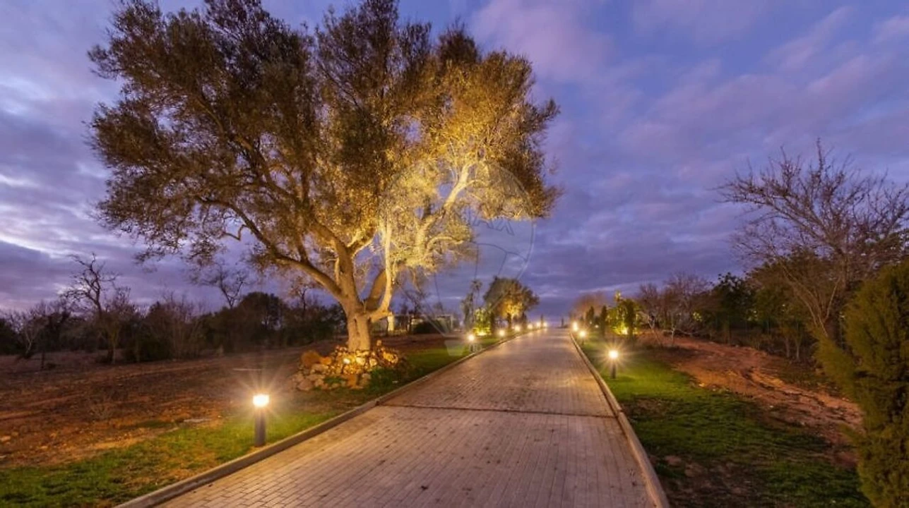 Moradia T5 para Venda em Algoz e Tunes Foto 46