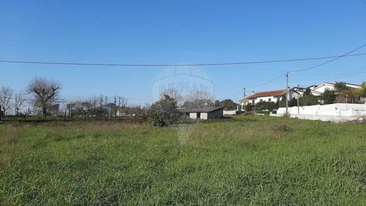 Terreno para Venda em Santa Comba Dão e Couto do Mosteiro Foto 11