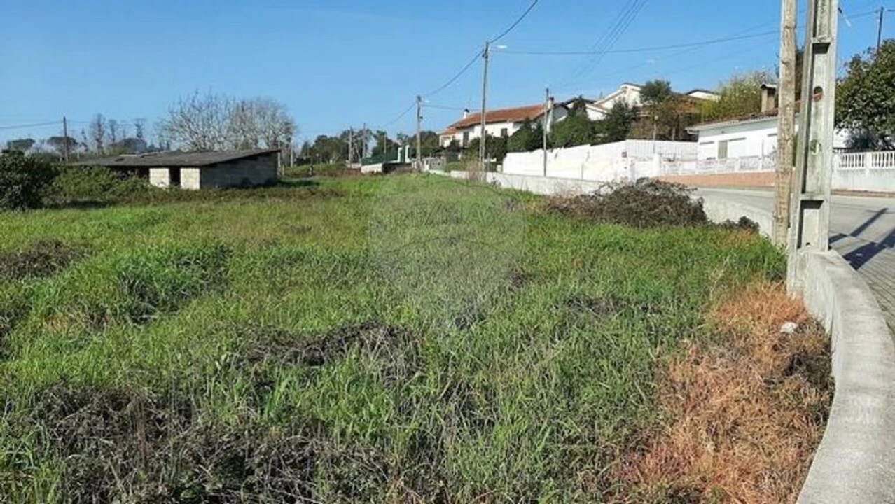 Terreno para Venda em Santa Comba Dão e Couto do Mosteiro Foto 9