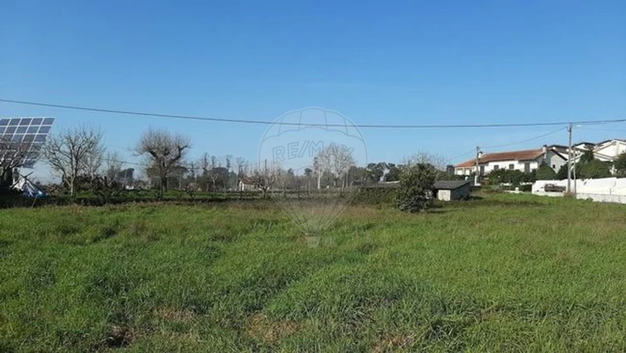 Terreno para Venda em Santa Comba Dão e Couto do Mosteiro Foto 17