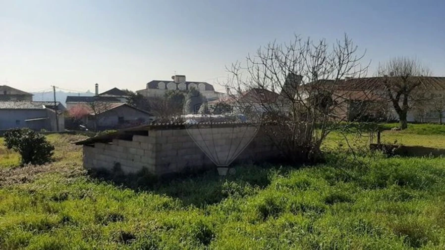 Terreno para Venda em Santa Comba Dão e Couto do Mosteiro Foto 8