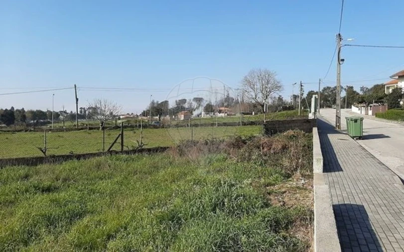 Terreno para Venda em Santa Comba Dão e Couto do Mosteiro Foto 7