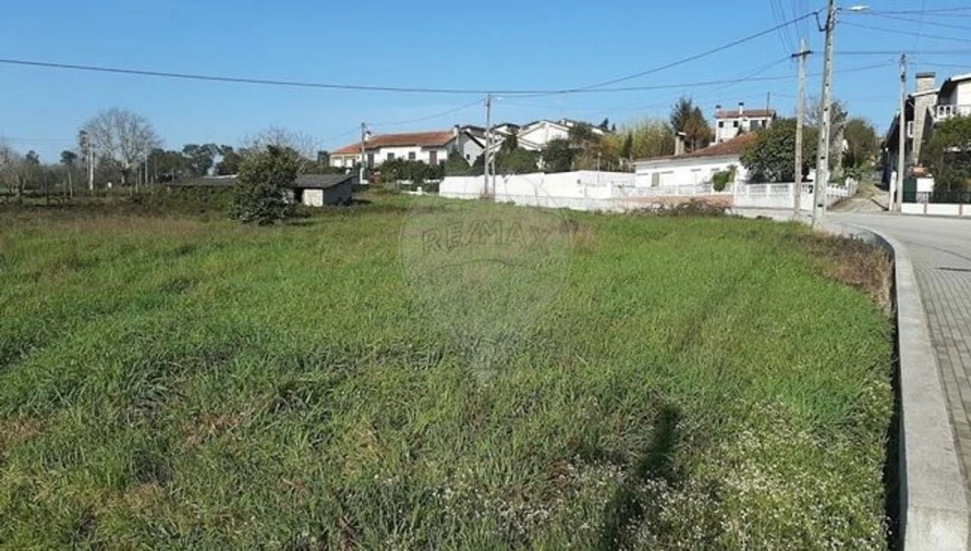 Terreno para Venda em Santa Comba Dão e Couto do Mosteiro Foto 4
