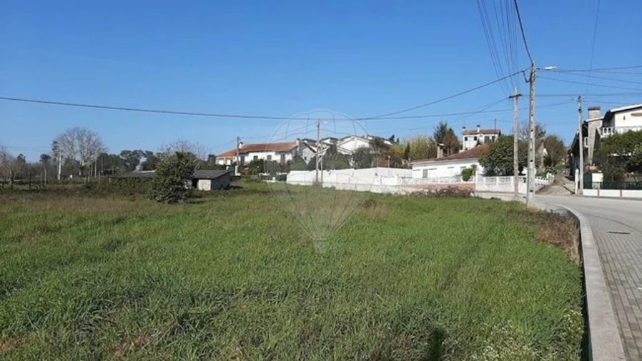 Terreno para Venda em Santa Comba Dão e Couto do Mosteiro Foto 6