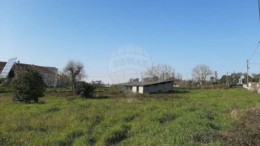 Terreno para Venda em Santa Comba Dão e Couto do Mosteiro Foto 5