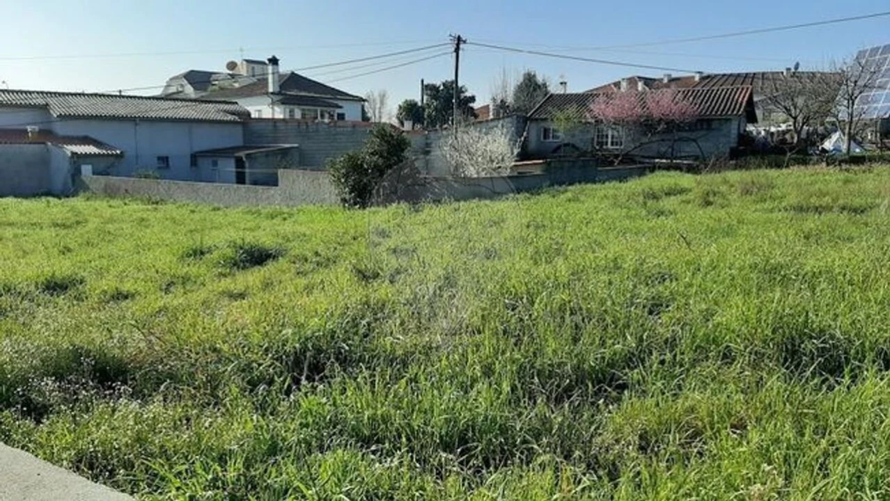 Terreno para Venda em Santa Comba Dão e Couto do Mosteiro Foto 12