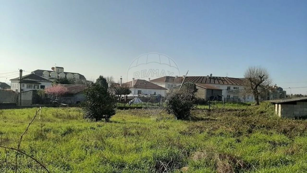 Terreno para Venda em Santa Comba Dão e Couto do Mosteiro Foto 13